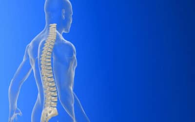 Chiropractic Care: More Than Just Back Pain